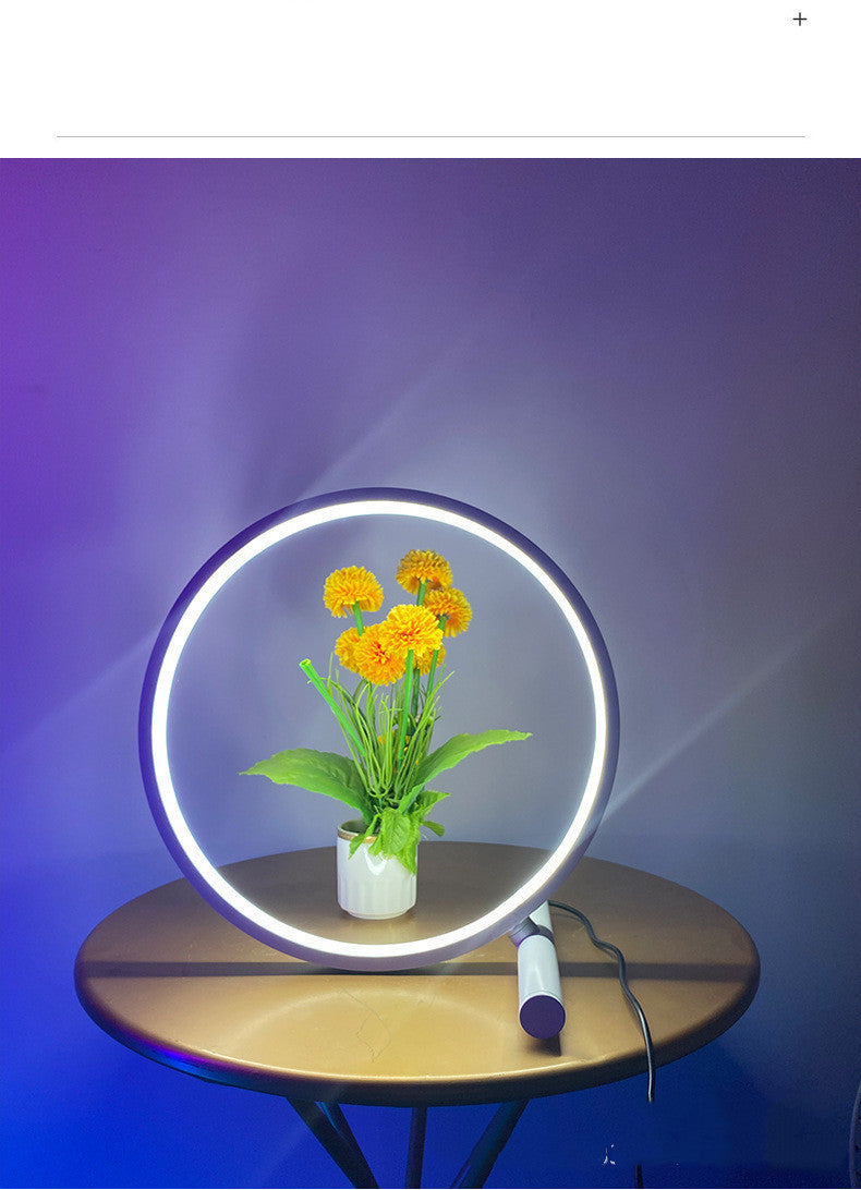 Nordic Circle USB Color Changing LED Lamp