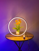Nordic Circle USB Color Changing LED Lamp