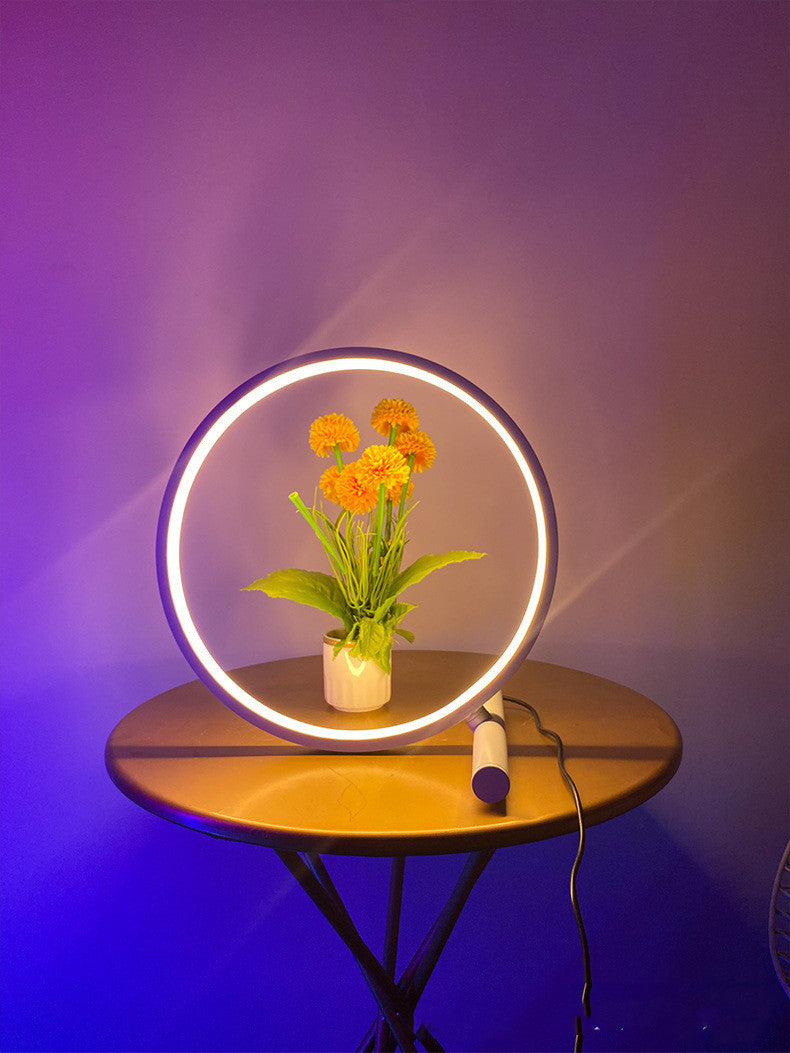 Nordic Circle USB Color Changing LED Lamp