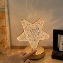 Charging Decorative Table Lamp Ornaments